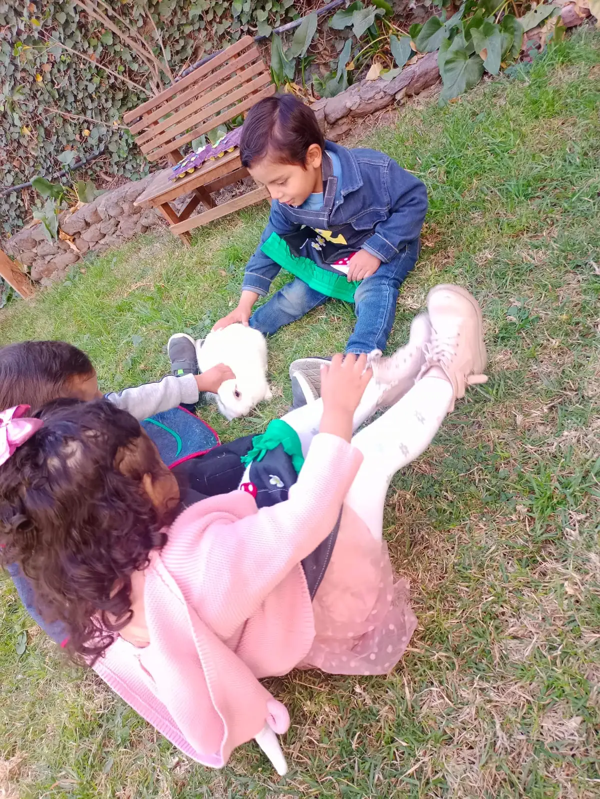 Taller